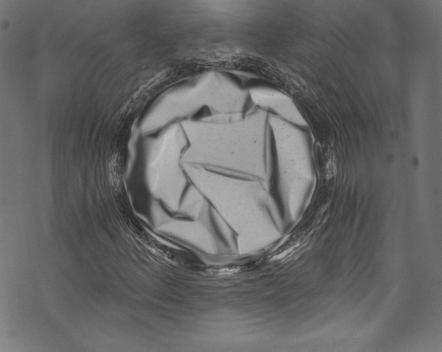 X0000072981156200608211342