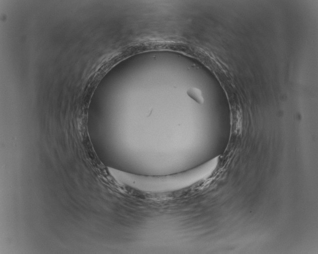 X0000072981157200608211342