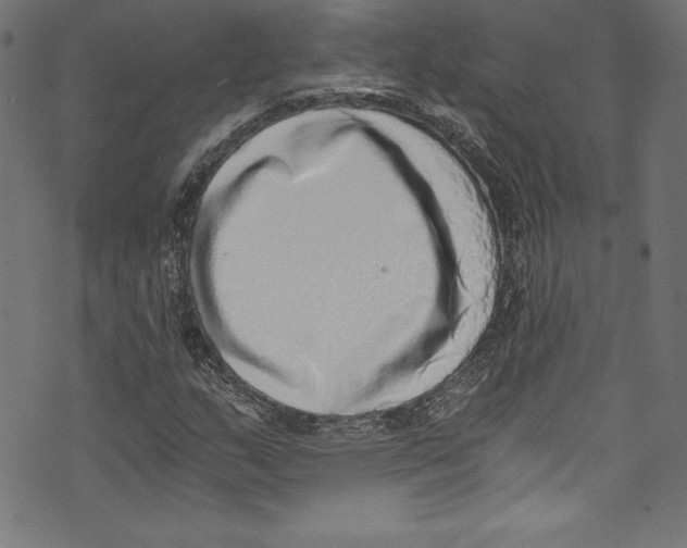 X0000072981159200608211342