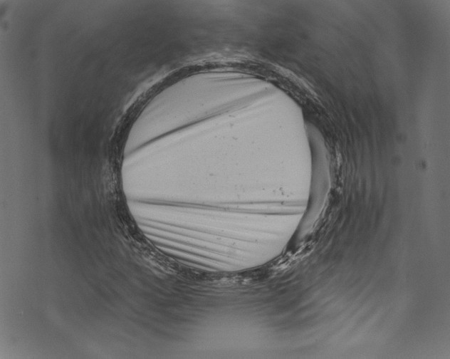 X0000072981160200608211342