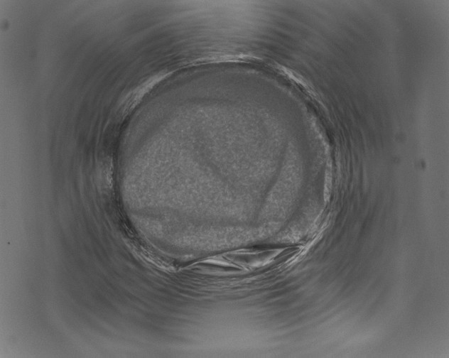 X0000072981161200608211342