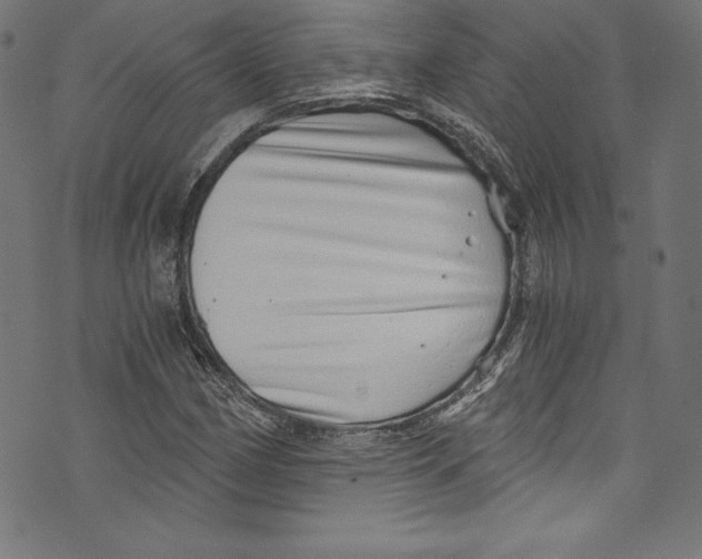 X0000072981162200608211342