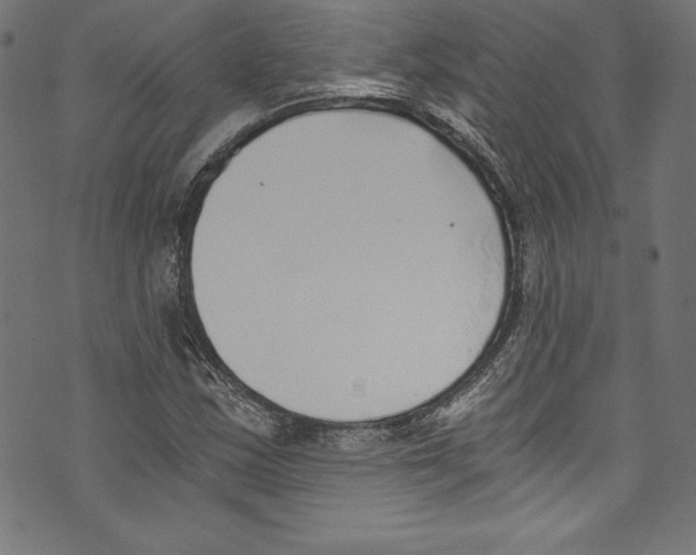 X0000072981163200608211342