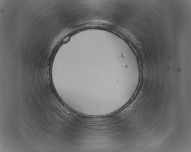 X0000072981164200608211342