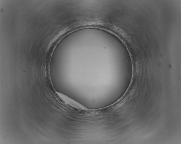 X0000072981165200608211342