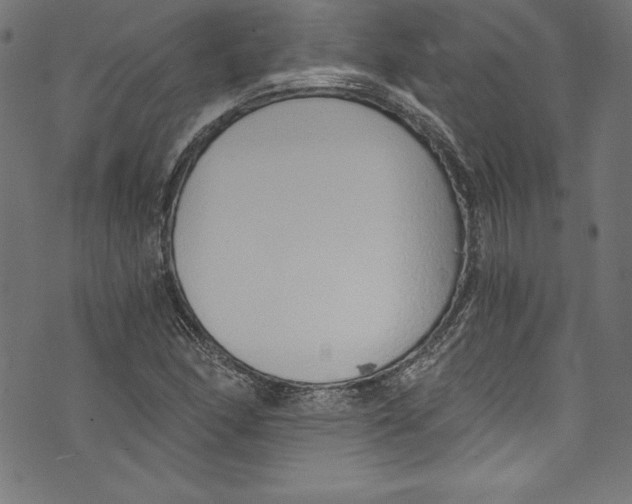 X0000072981166200608211342