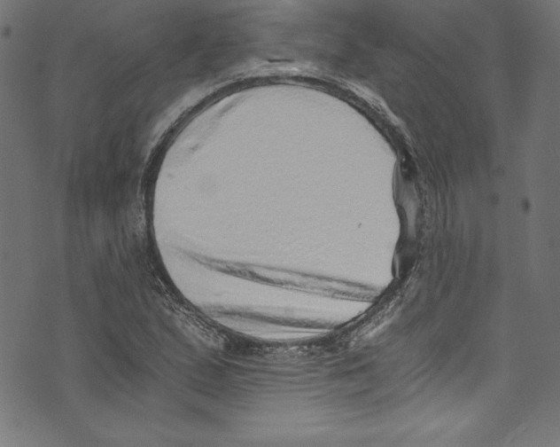 X0000072981167200608211342