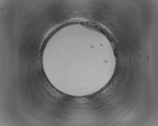 X0000072981168200608211342