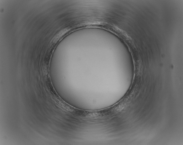 X0000072981169200608211342