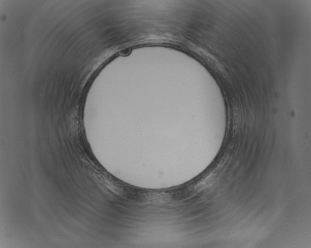 X0000072981170200608211342