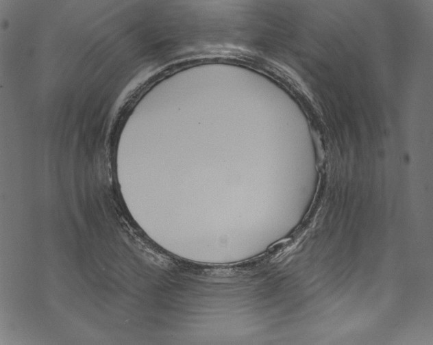 X0000072981172200608211342