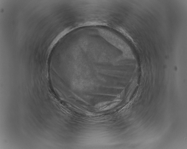 X0000072981173200608211342