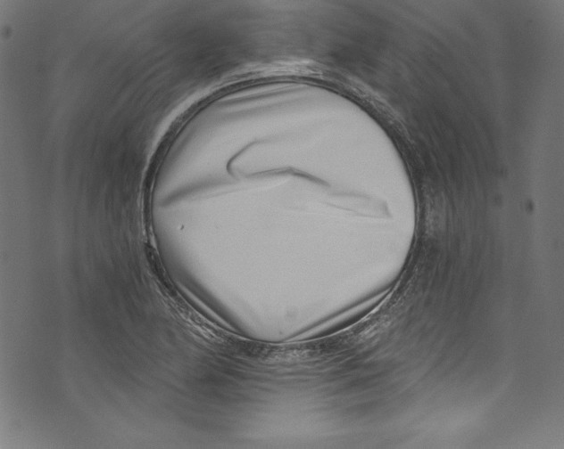 X0000072981174200608211342