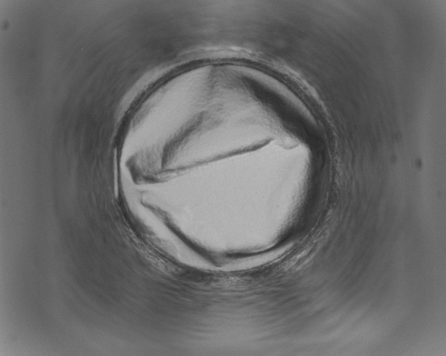 X0000072981175200608211342