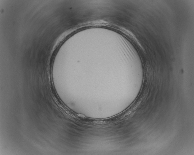 X0000072981176200608211342