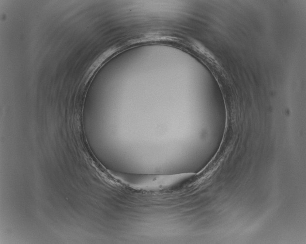 X0000072981177200608211342