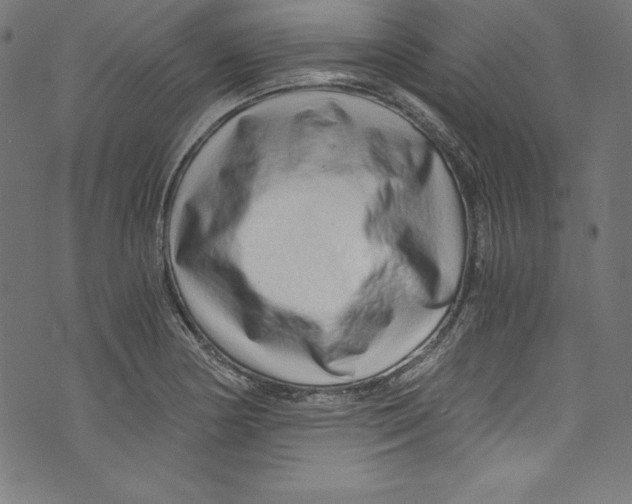 X0000072981178200608211342