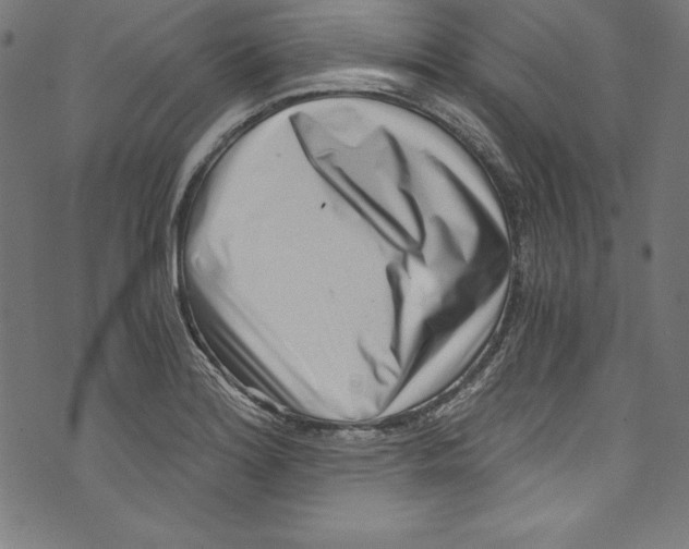 X0000072981180200608211342