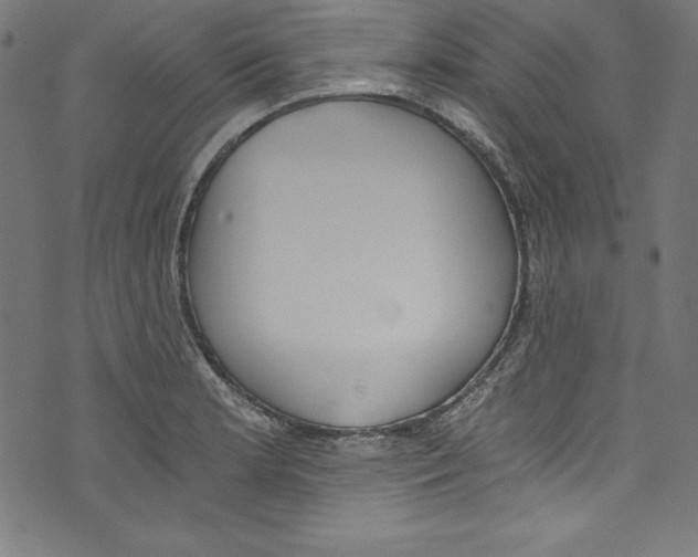 X0000072981181200608211342