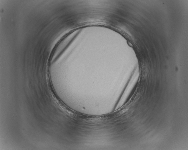 X0000072981182200608211342