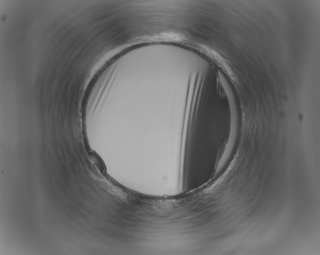 X0000072981184200608211342