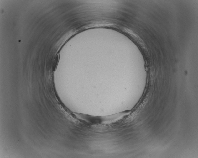 X0000072981185200608211342