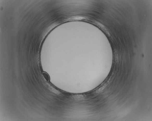 X0000072981186200608211342