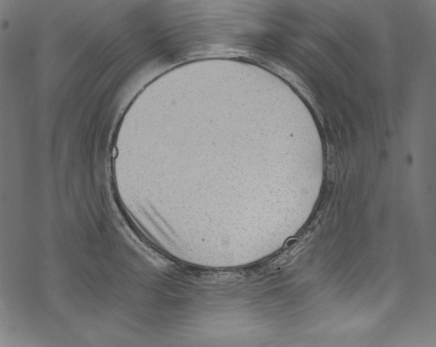 X0000072981187200608211342