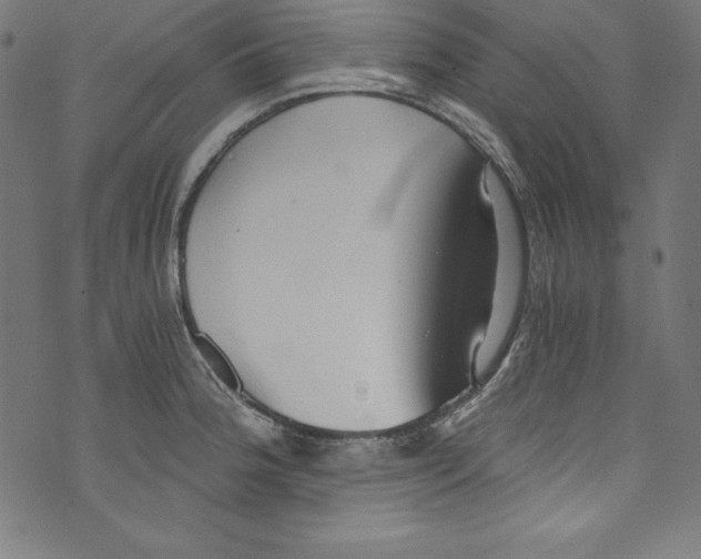 X0000072981188200608211342