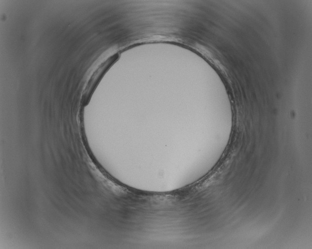 X0000072981189200608211342