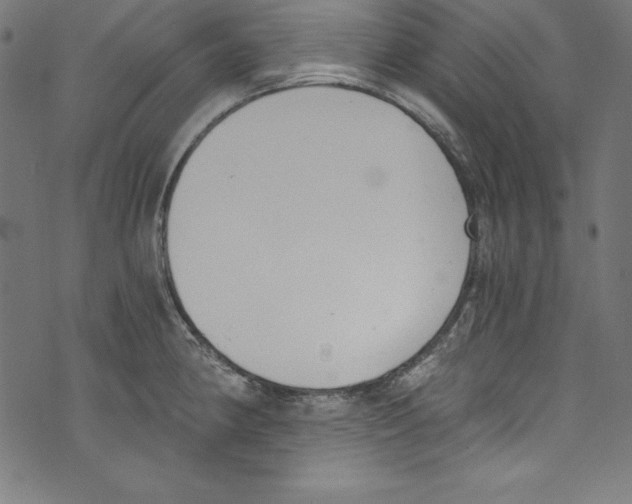 X0000072981190200608211342