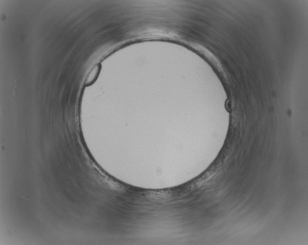 X0000072981191200608211342