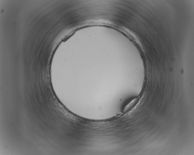 X0000072981192200608211342