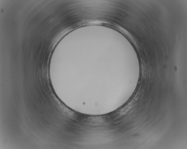 X0000072981194200608211342