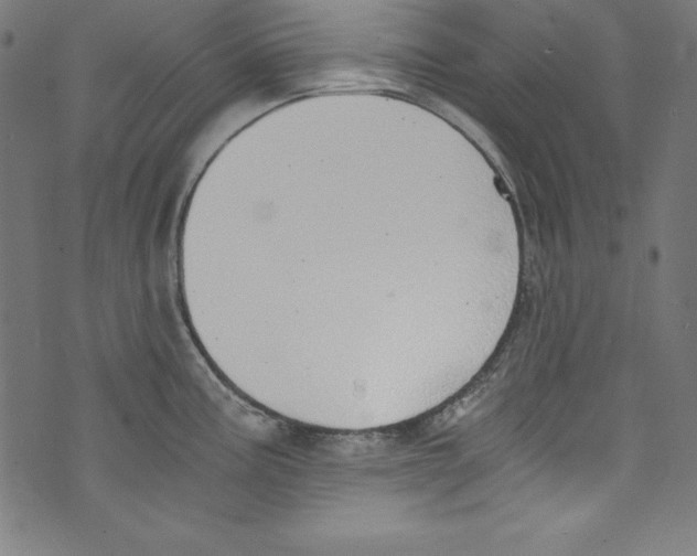 X0000072981195200608211342