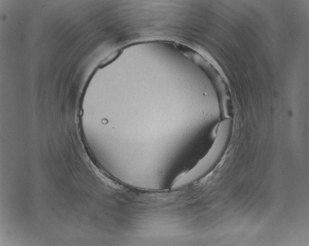 X0000072981197200608211342