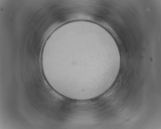 X0000072981199200608211342