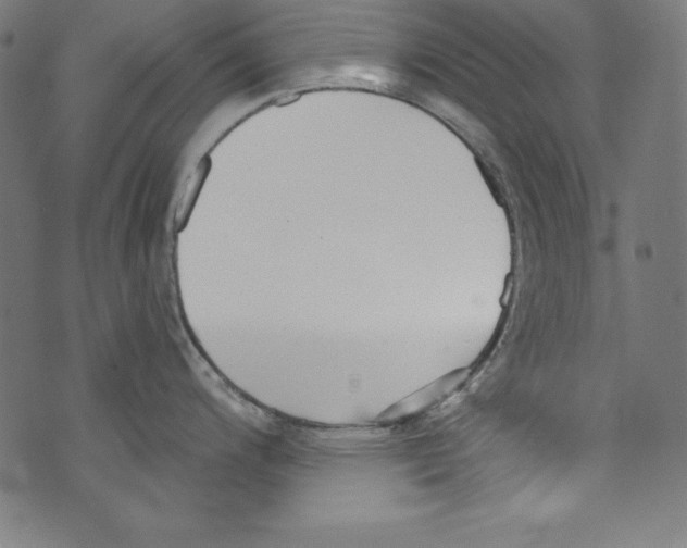 X0000072981200200608211342