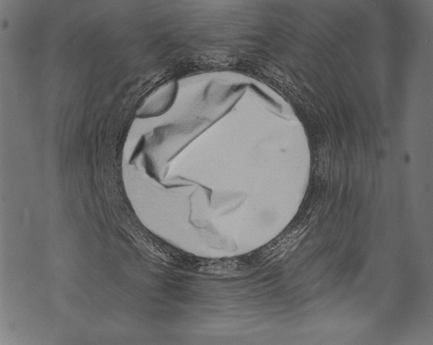 X0000072981201200608211341