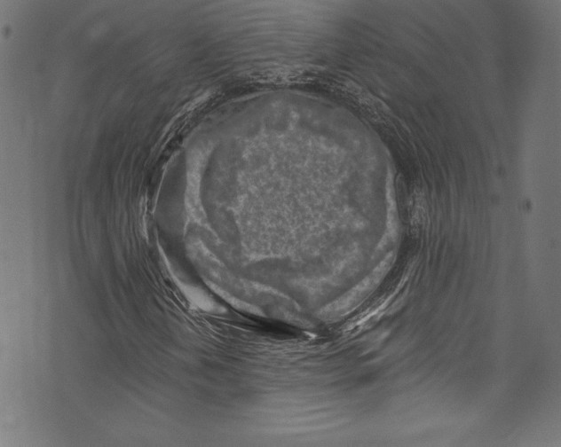 X0000072981202200608211341