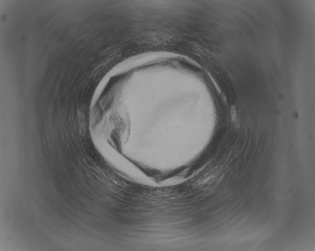 X0000072981203200608211341