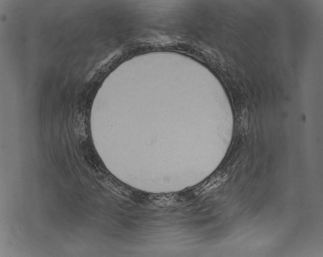 X0000072981205200608211341