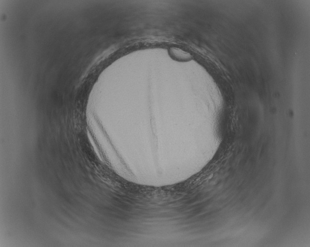 X0000072981207200608211341