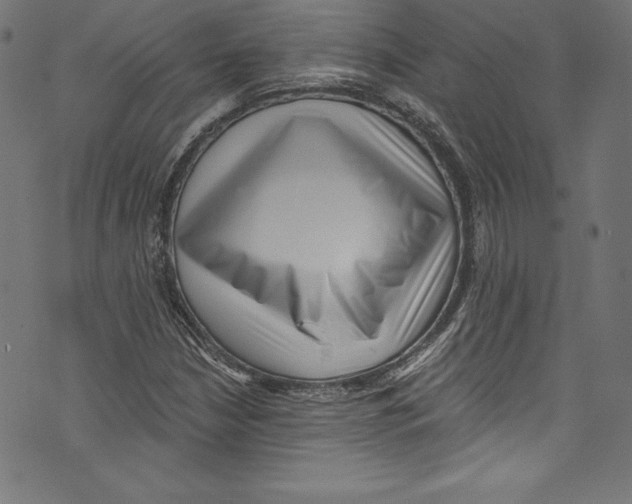 X0000072981210200608211341