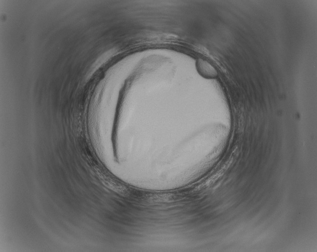 X0000072981211200608211341