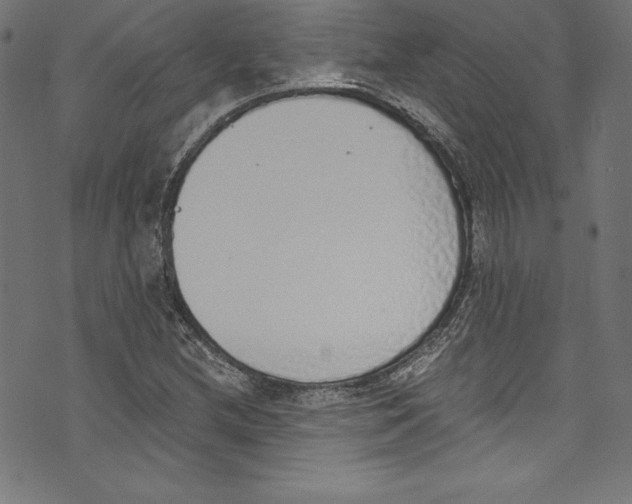 X0000072981212200608211341