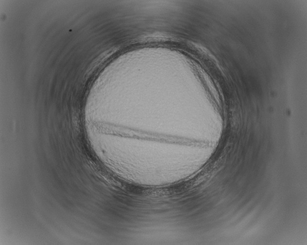 X0000072981217200608211341