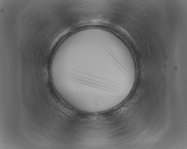 X0000072981218200608211341