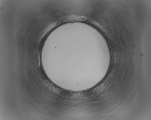 X0000072981219200608211341