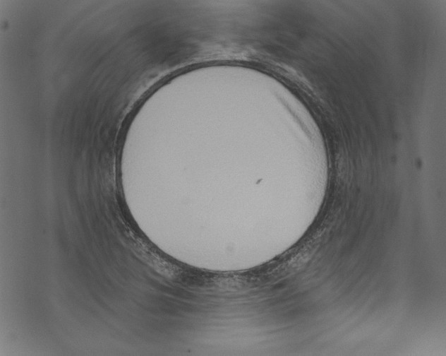 X0000072981220200608211341